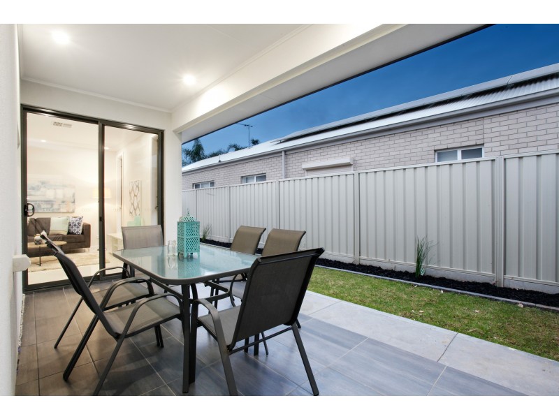 8c Swinburne Avenue, Plympton Park SA 5038