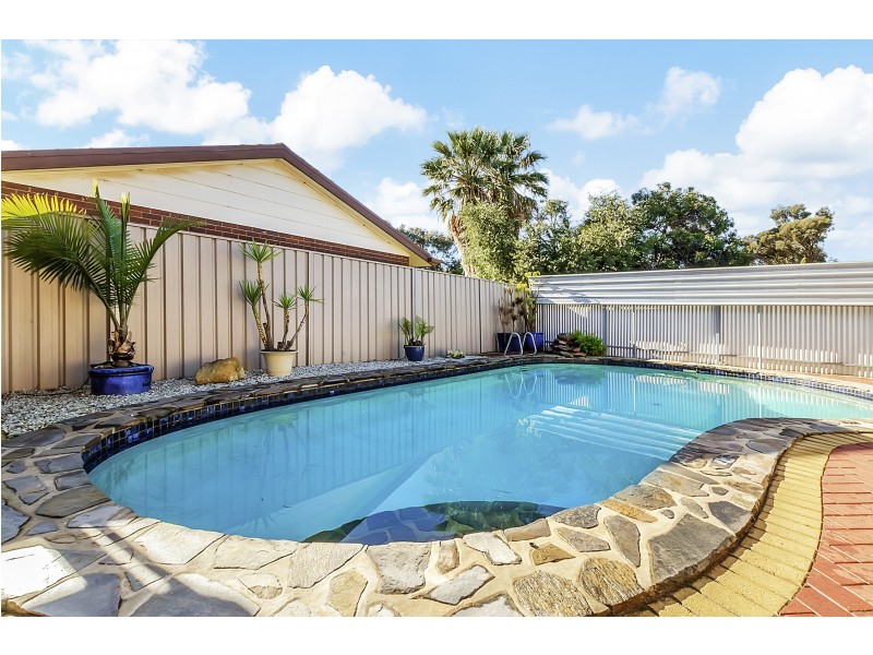 17 Raner Avenue, Parafield Gardens SA 5107