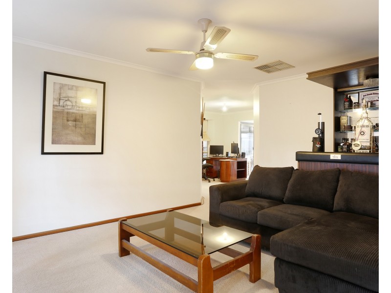 12 Conifer Court, Newton SA 5074