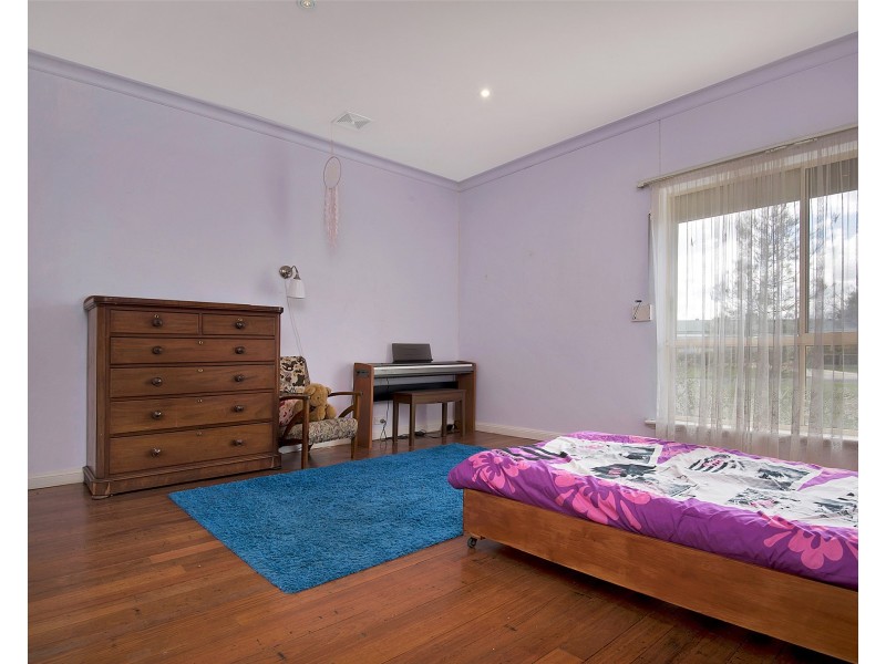 12 Clydesdale Drive, Two Wells SA 5501