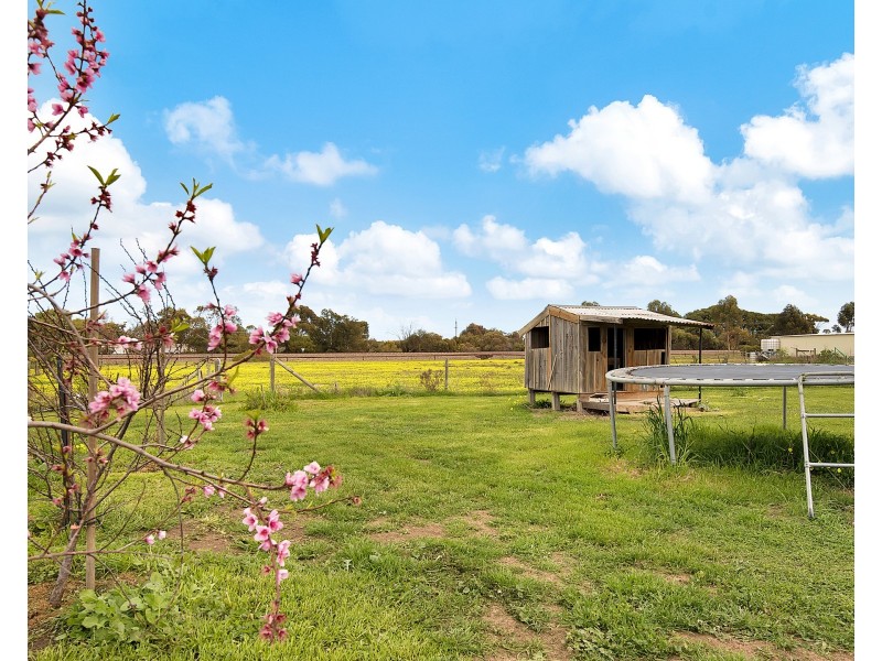 12 Clydesdale Drive, Two Wells SA 5501