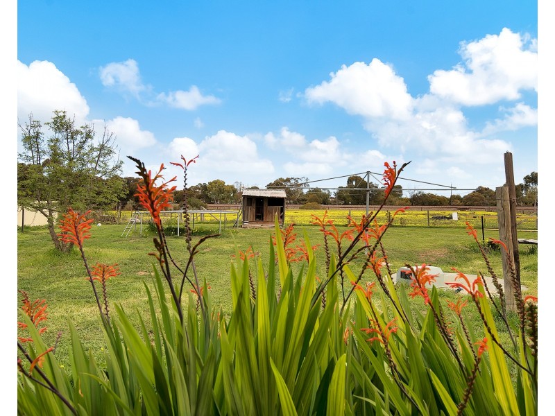 12 Clydesdale Drive, Two Wells SA 5501