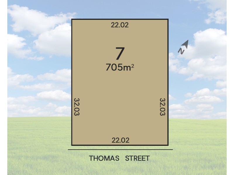 7 Thomas Street, Strathalbyn SA 5255