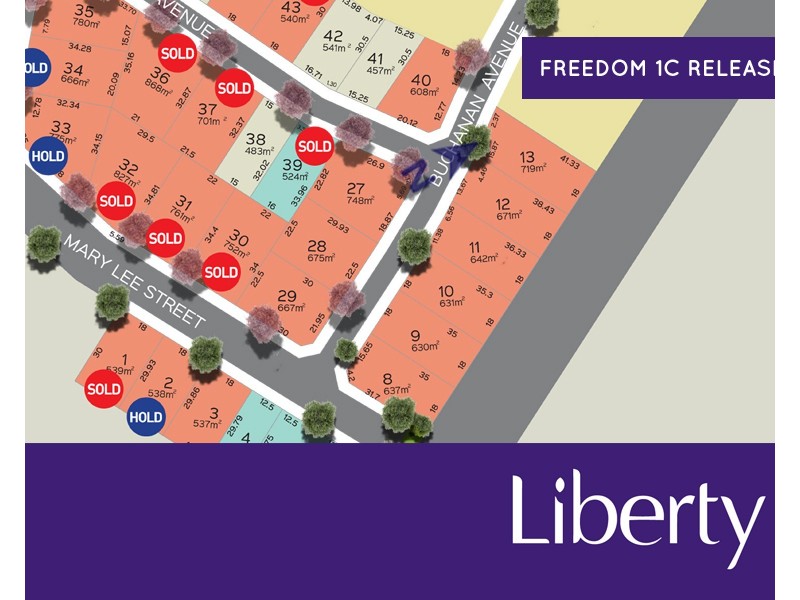 Lot 9 Buchanan Avenue, Two Wells SA 5501