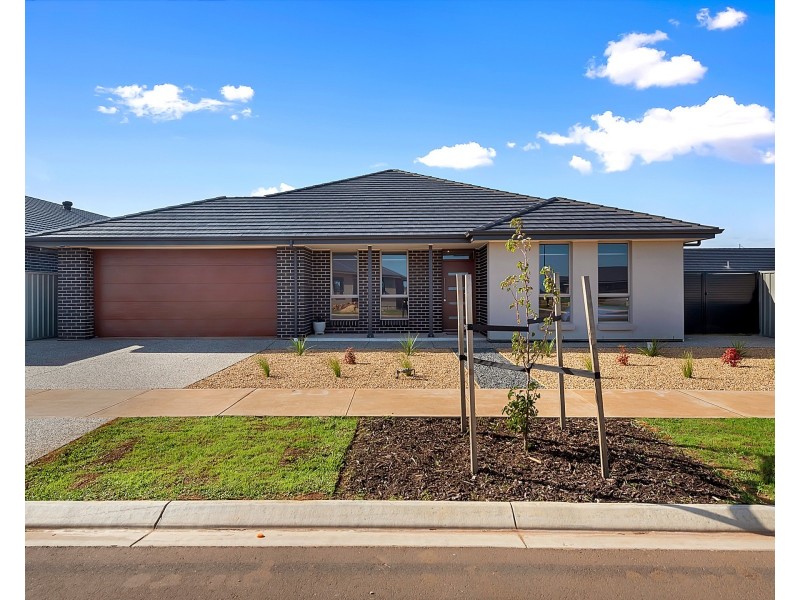 12 Pine Avenue, Virginia SA 5120