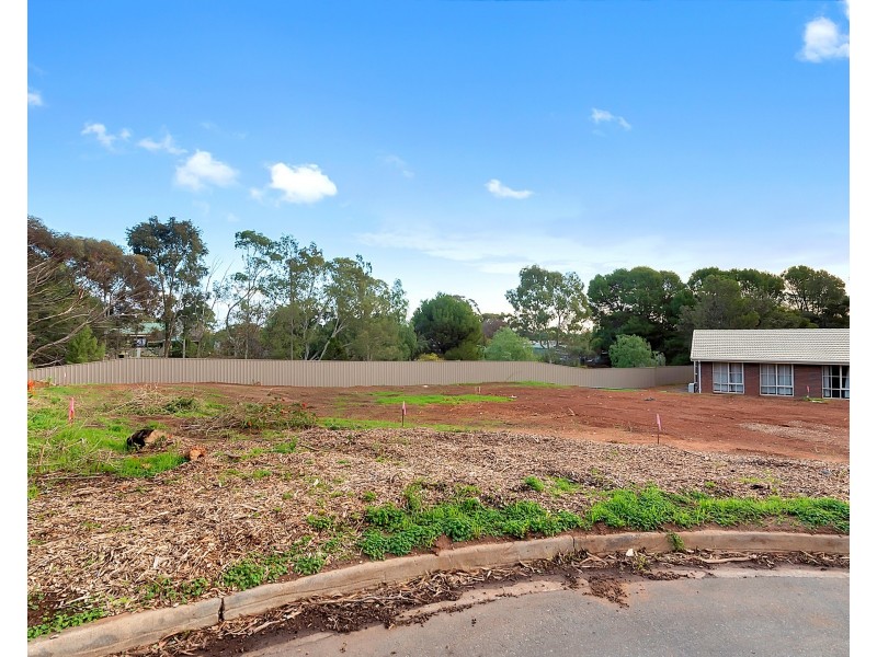 11B Chapman Avenue, Salisbury Heights SA 5109
