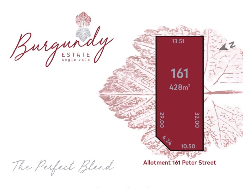 Lot 161 Peter Street, Angle Vale SA 5117