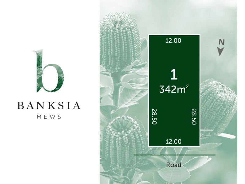 Lot 1/51 Elizabeth Street, Banksia Park SA 5091