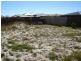 Carrum Downs VIC 3201