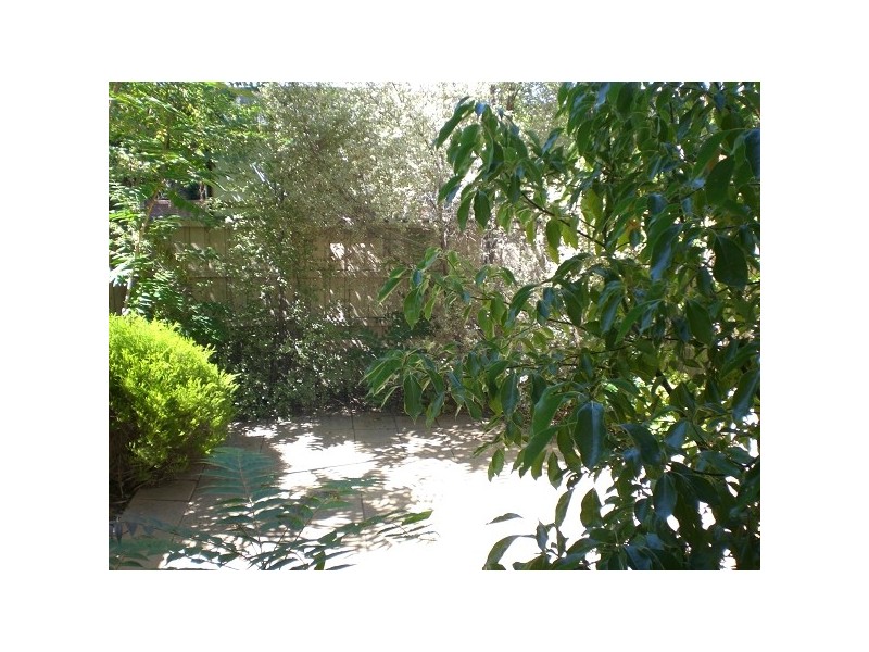 1/24 Narong Road, Caulfield North VIC 3161