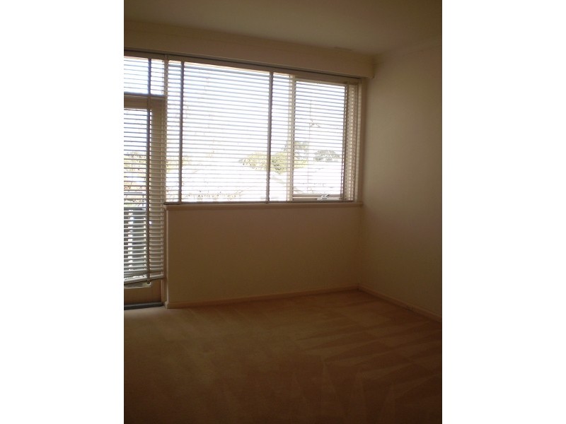 5/34 Austin Avenue, Elwood VIC 3184