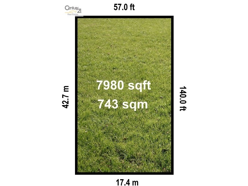 157 Balaclava Road, Caulfield North VIC 3161