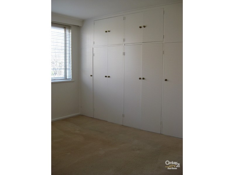 3/34 Austin Avenue, Elwood VIC 3184