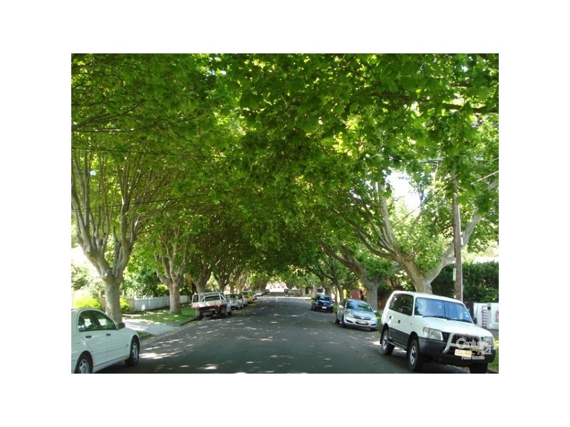 51 Goldsmith Street, Elwood VIC 3184