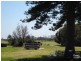 14b Lytton Street, Elwood VIC 3184