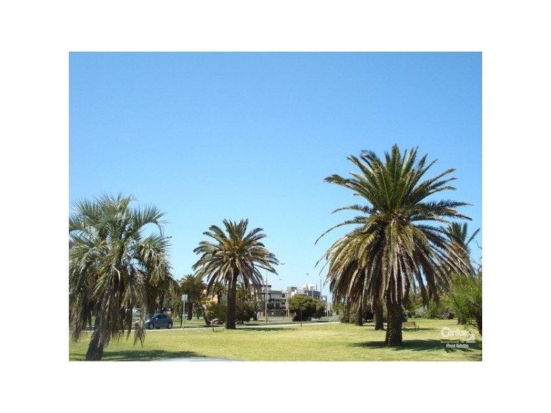 14b Lytton Street, Elwood VIC 3184