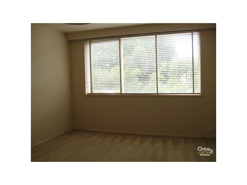 4/34 Austin Avenue, Elwood VIC 3184