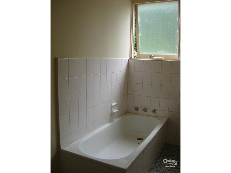 4/34 Austin Avenue, Elwood VIC 3184