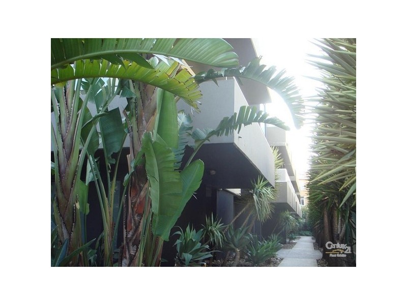 1/228 Alma Road, St Kilda East VIC 3183