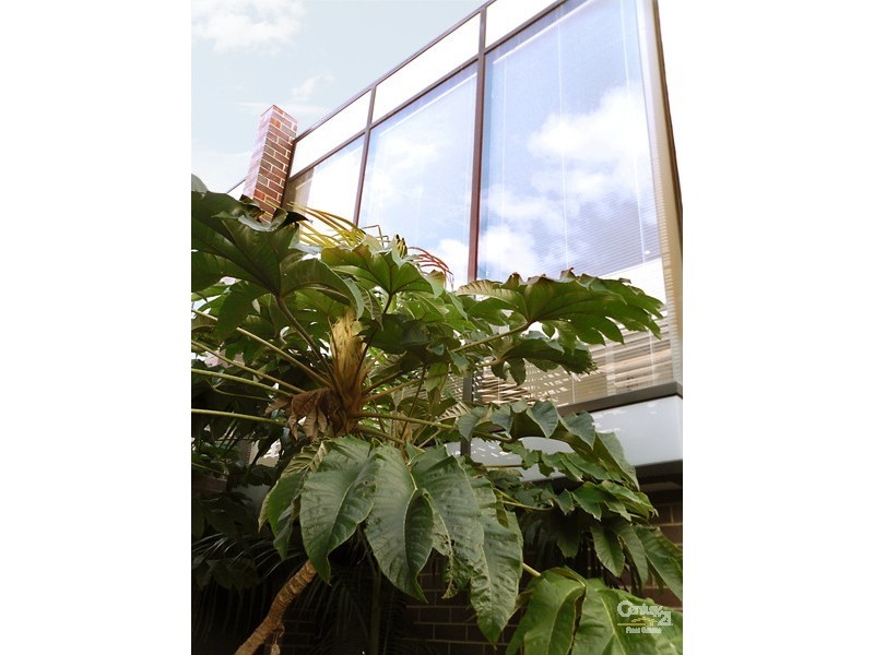 4/30 Gourlay Street, St Kilda East VIC 3183