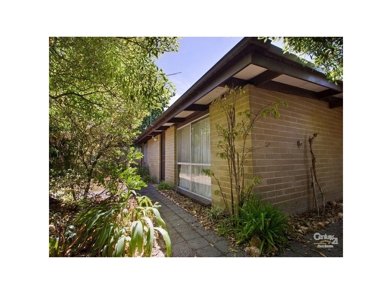 60A Wilson st, Cheltenham VIC 3192
