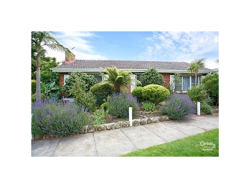 3 Newry Street, Cheltenham VIC 3192