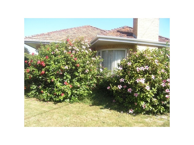 26 Follett Street, Cheltenham VIC 3192