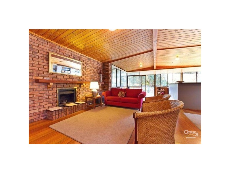 17 Weymar Street, Cheltenham VIC 3192