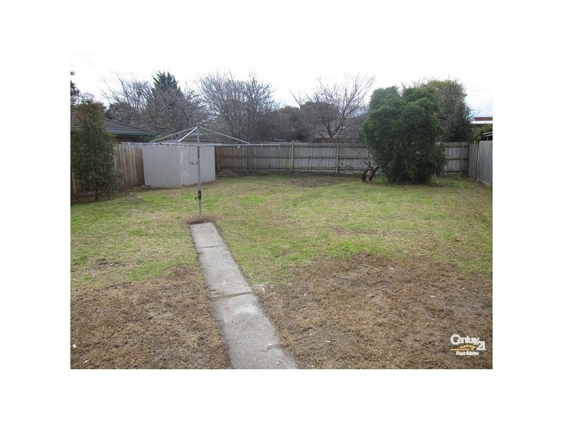 41 Thorburn Road, Hampton VIC 3188