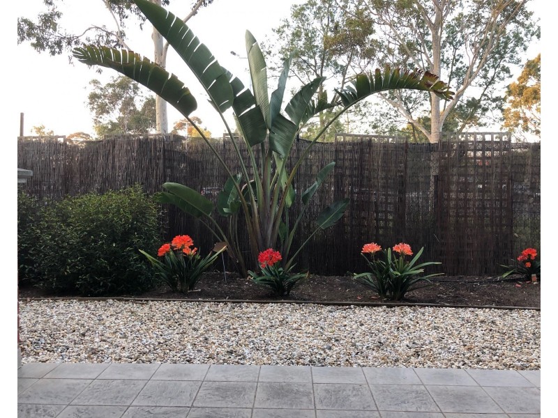 3/8-10 Browns Road, Clayton VIC 3168