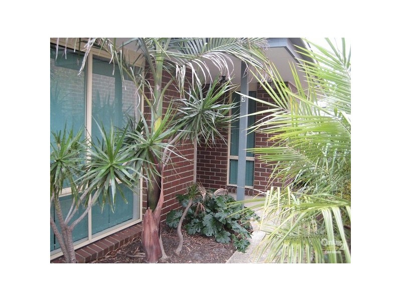 3/69 Ella Grove, Chelsea VIC 3196