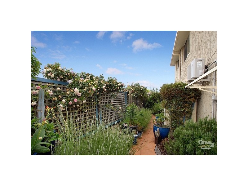 3/5 Burns Avenue, Clayton South VIC 3169