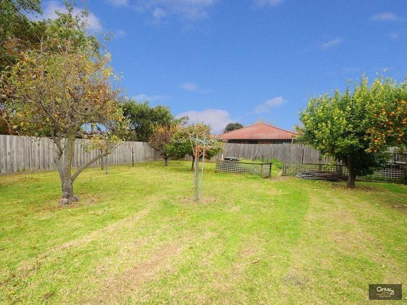 38 Ireland Road, Clayton South VIC 3169