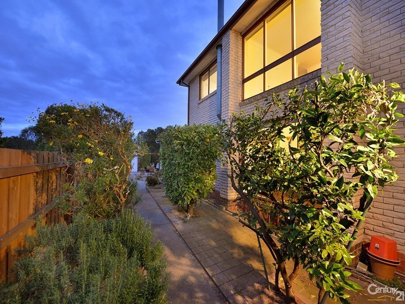 39 Springs Road, Clayton South VIC 3169