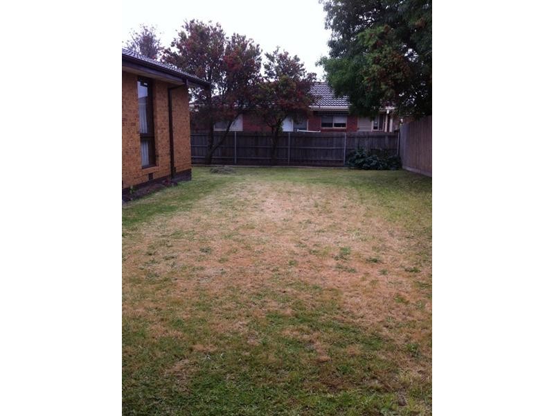 11 Bushland Avenue, Clayton South VIC 3169