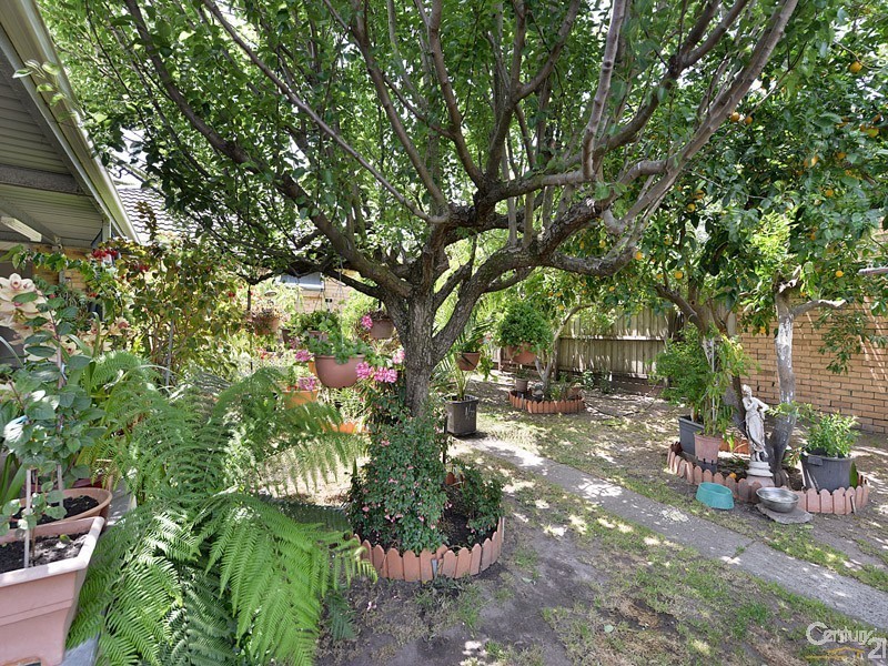 36 Heather Grove, Springvale VIC 3171