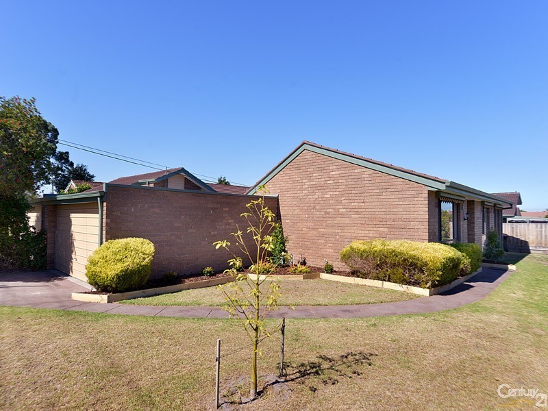 16 Bernard Street, Cheltenham VIC 3192