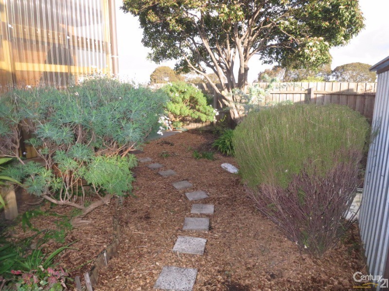 49 Merrigum Crescent, Clarinda VIC 3169