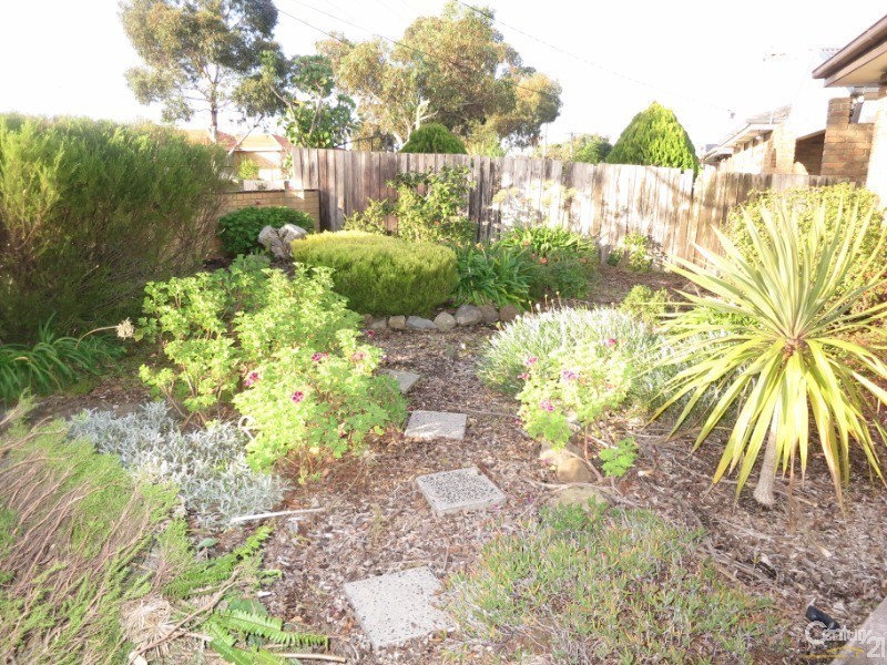 49 Merrigum Crescent, Clarinda VIC 3169