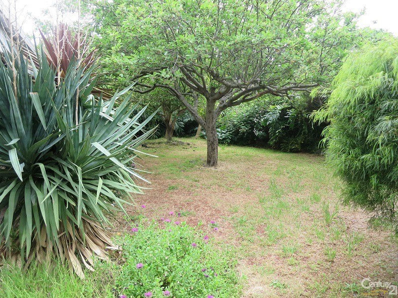 75 Kanooka Grove, Clayton VIC 3168