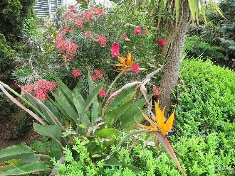 75 Kanooka Grove, Clayton VIC 3168