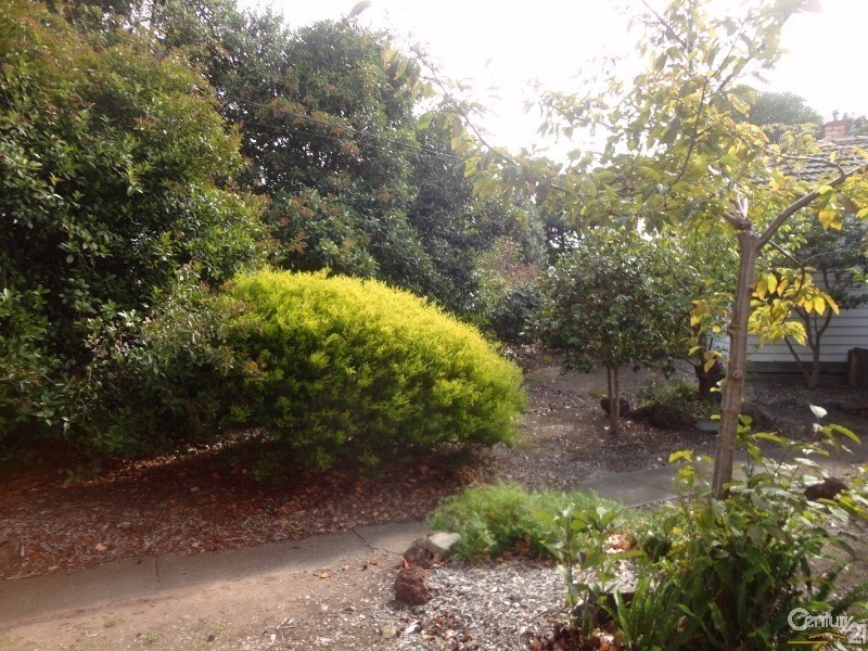 76 Beddoe Avenue, Clayton VIC 3168