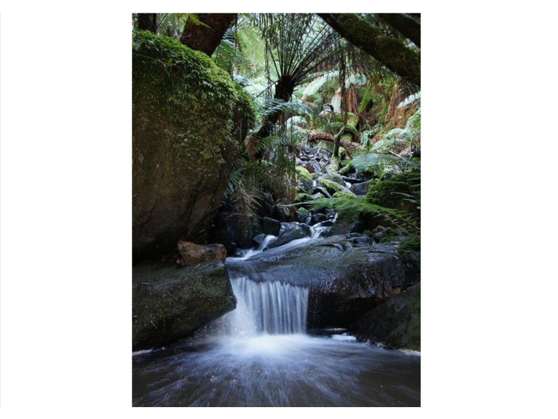 164 Mt Dandenong Tourist Road, Ferny Creek VIC 3786