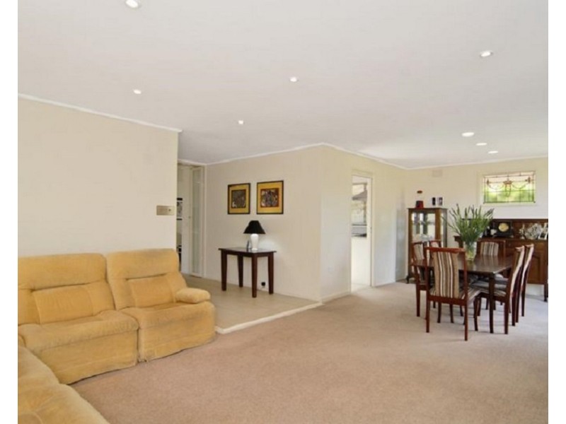 20 Glebe Avenue, Cheltenham VIC 3192