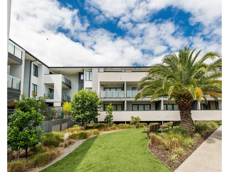 B117/60 Autumn Terrace, Clayton South VIC 3169