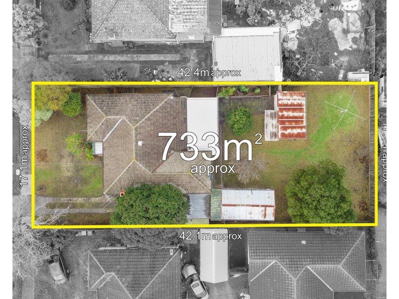 12 Hourigan Avenue, Clayton VIC 3168