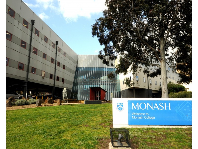 17 Royalty Street, Clayton VIC 3168