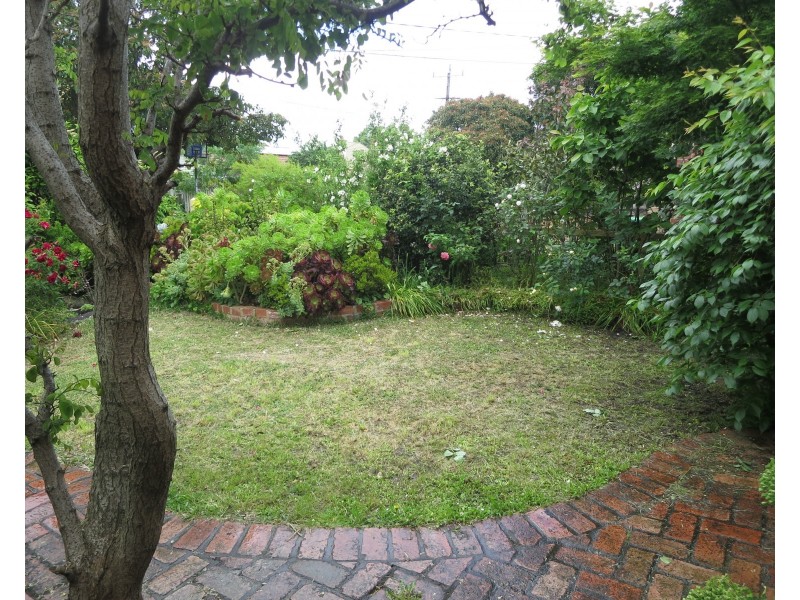 31 Bishop Street, Box Hill VIC 3128