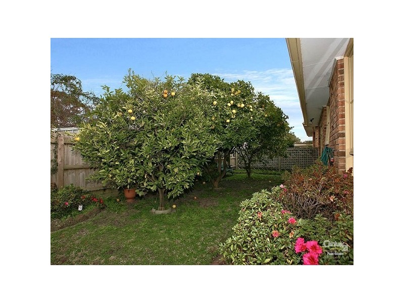 7/169 Centre Dandenong Road, Dingley Village VIC 3172