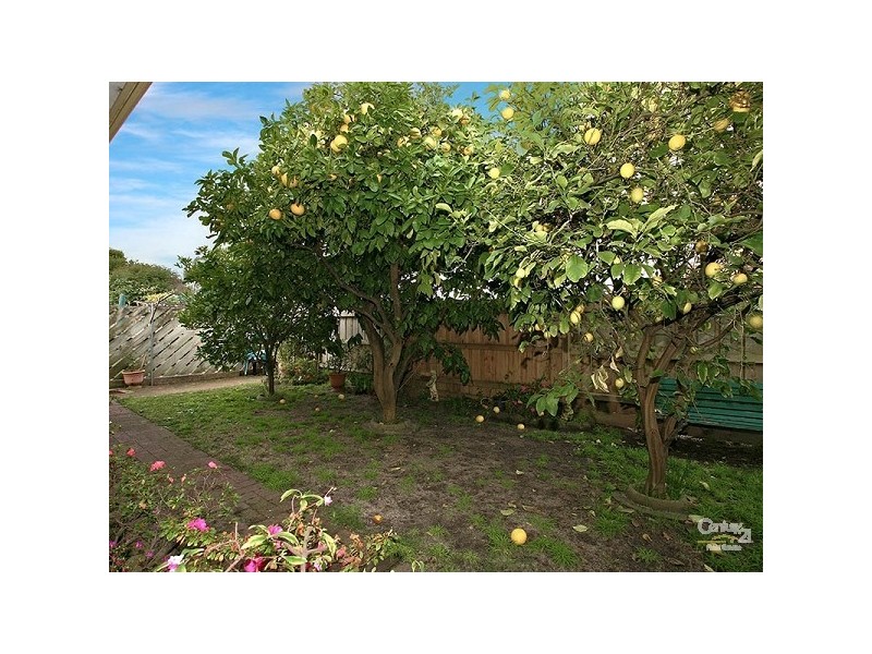 7/169 Centre Dandenong Road, Dingley Village VIC 3172